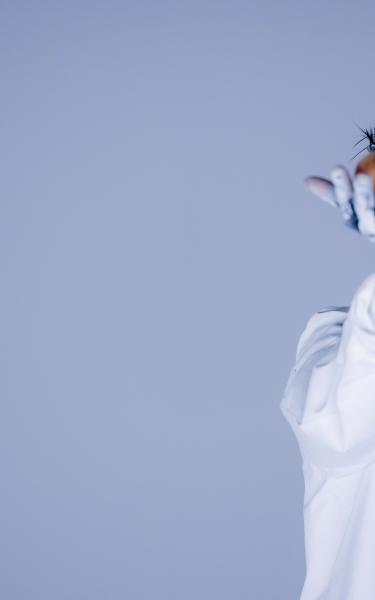 Enim esca et imputo inhibeo iusto os sed.